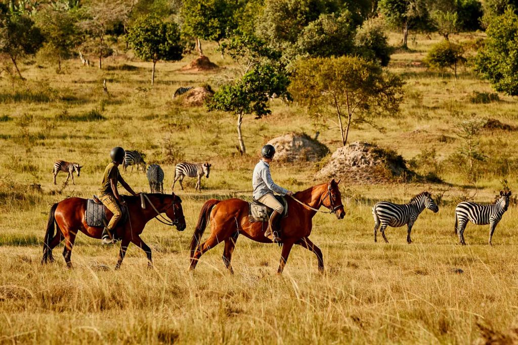 horseback safaris experience in lake mburo national park